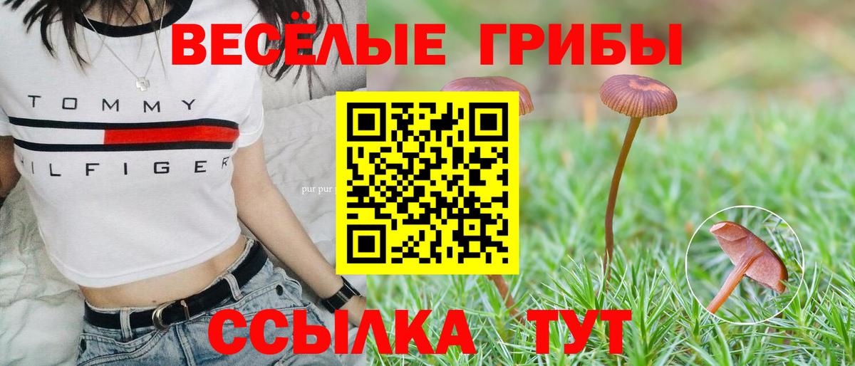 Галлюциногенные грибы MAGIC MUSHROOMS  Вход с VPN  Красный Сулин 